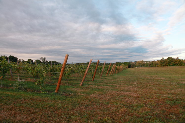 Town of Watertown Visit CT